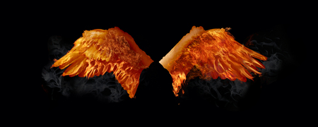 Swan Wings on Fireの写真素材