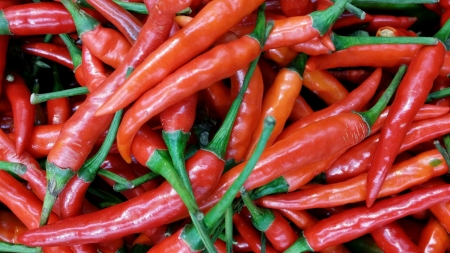  Hot red chili