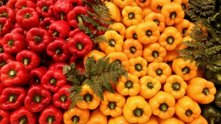 Colourful vegetable of the yearの素材