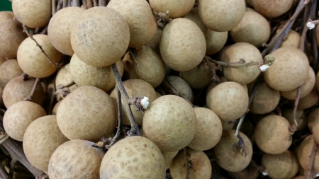 Fresh brown longan