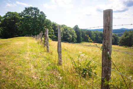 Barbed Wire Fence along a pasture on the Blue Ridge Parkway.