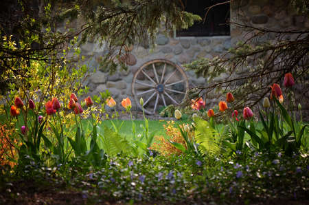 Welcome Spring!の写真素材