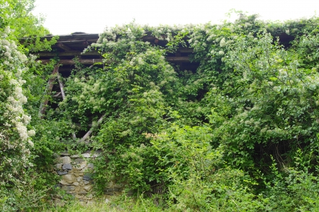 Old Outbuilding in the village Cheresha in the Rhodope Mountain, Bulgariaの写真素材