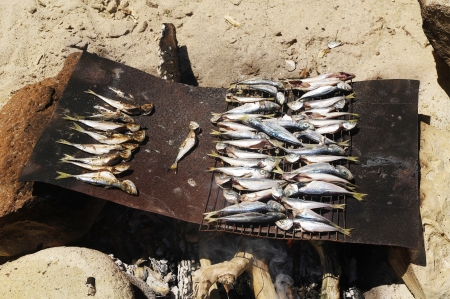 Grilled fish on the beach in Summer の写真素材