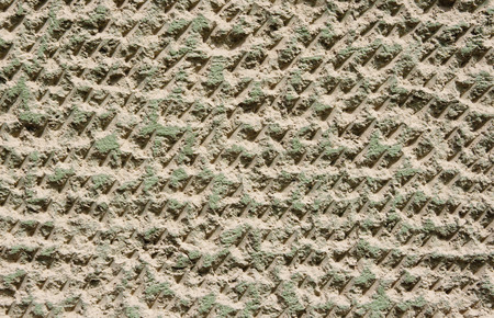 Green rough plaster on wall in sunny dayの写真素材