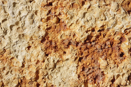 Cladding  stone tiles closeup in sunny dayの写真素材