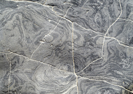 Gray sandstone on the beach closeup in sunny day 
