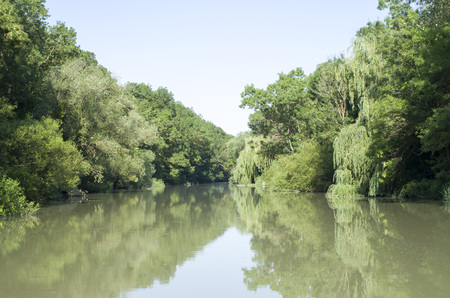The Kamchia River in summer sunny day, Bulgaria, Europeの写真素材
