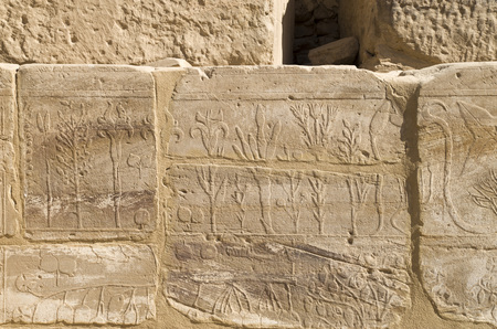 Wall with carved pictorial catalog of the exotic animals and plants  from Asia in the Temple of...