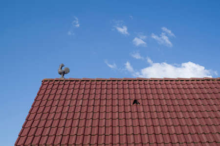 New tiled roof with louvered roof vent and cock in the blue skyの写真素材