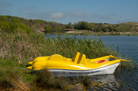 Pedalo  or Paddle Wheel Boat in the shape of dolphins in the reeds of a lakeの写真素材