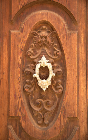 New knocker in the shape of devil's head on wooden door close up