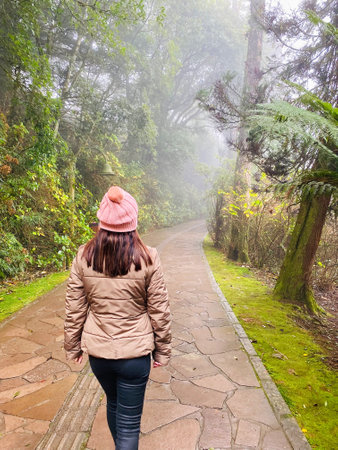 Woman walking through the fog with typical winter clothes near the dense vegetation of araucariasの写真素材