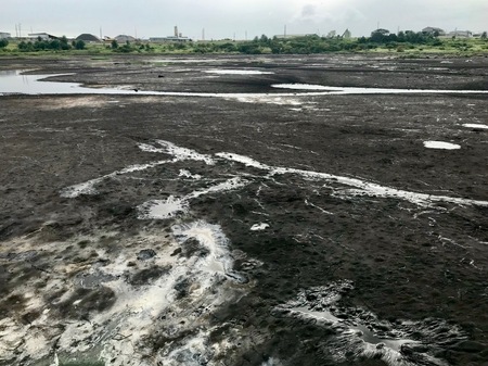 Fascinating La Brea Pitch Lake on the Caribbean island of Trinidadの写真素材