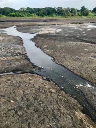 Fascinating La Brea Pitch Lake on the Caribbean island of Trinidad