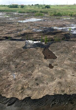 Natural Asphalt at the La Brea Pitchlake Trinidad (Caribbean island of Trinidad and Tobago)の写真素材
