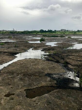 Natural Asphalt at the La Brea Pitchlake Trinidad (Caribbean island of Trinidad and Tobago)の写真素材