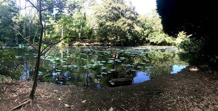 Beautiful untouched nature with a lake at the Pointe-?-Pierre Wild Fowl Trust (offers environmental education & the conservation of wetlands & waterfowl within the Petrotrin oil refinery) in Trinidadの写真素材
