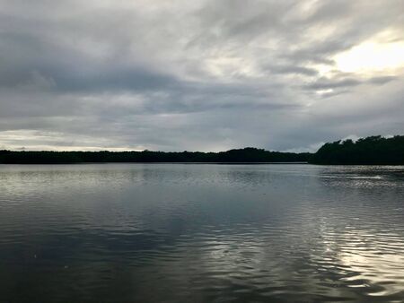 Mangrove wetland of the Caroni Swamp and Bird Sanctuary boat excursion on the Caribbean island of Trinidad & Tobagoの写真素材