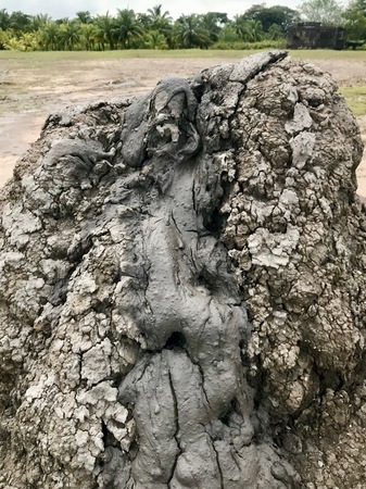 Crater of the recently erupted mud volcano at Piparo on the Caribbean island of Trinidad & Tobago displaying gray mud lavaの写真素材