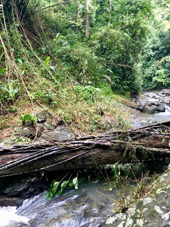 Lush greenery and cascading water near the beautiful Argyle Falls near Roxborough on the Caribbean...