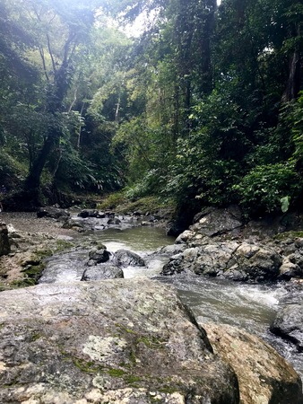 Lush greenery and cascading water near the beautiful Argyle Falls near Roxborough on the Caribbean...
