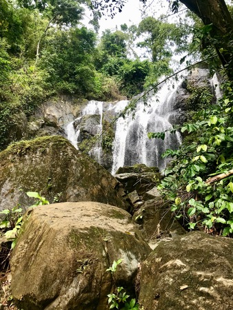 Lush greenery and cascading water near the beautiful Argyle Falls near Roxborough on the Caribbean island of Tobago (West Indies)の写真素材