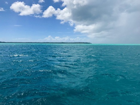 Beautiful view of the Caribbean island of Tobago (Trinidad - West Indies) from a boat: sand beach,...