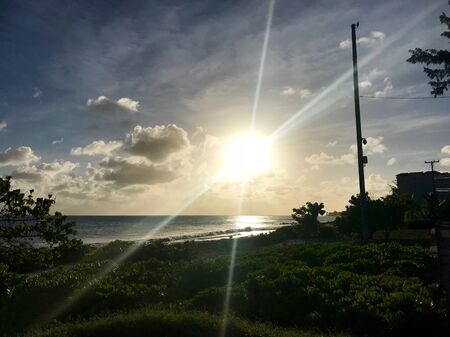 Sunset at a coastal street in Oistins, Barbados (Caribbean Island) with palm trees, beach and beautiful turquoise ocean in the backgroundの写真素材