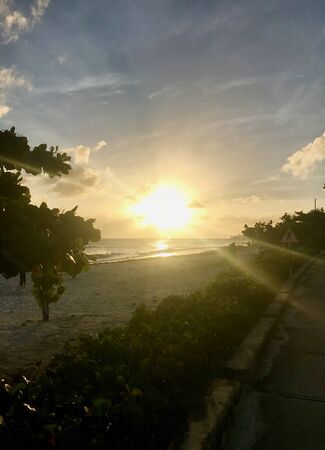 Sunset at a coastal street in Oistins, Barbados (Caribbean Island) with palm trees, beach and beautiful turquoise ocean in the backgroundの写真素材