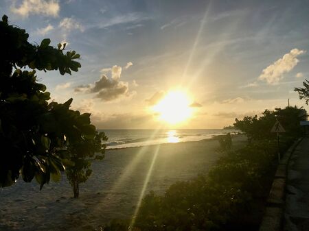Sunset at a coastal street in Oistins, Barbados (Caribbean Island) with palm trees, beach and beautiful turquoise ocean in the backgroundの写真素材