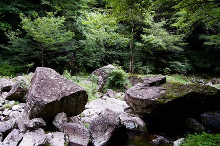 Akame 48 Waterfalls: Mysterious hiking trails, giant trees and rock formations, untouched nature, lush vegetation, cascading waterfalls and enormous amphibians in rural Japan close to Osaka and Kyotoの写真素材