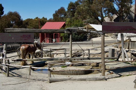 Horse power: A horse doing the lab for us humans. Remembrance of the old days in the 1800s.の写真素材
