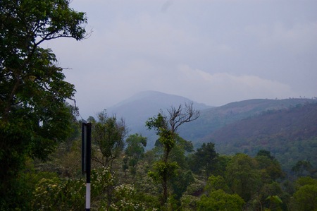 Magnificent valley view in Kerala (rural India): Landscape with idyllic unspoilt nature, trees forming a lush green jungle and a foggy sky creating a tranquil sceneryの写真素材