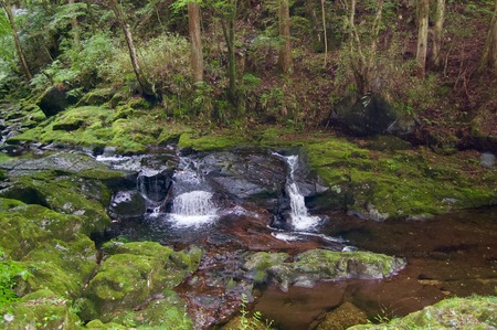 Akame 48 Waterfalls: Mysterious scenery with huge trees and huge moss covered rock formations, untouched nature, lush green vegetation, cascading waterfalls & natural pools in rural Japan near Osakaの写真素材