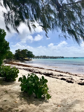 Idyllic beautiful beach in Oistins on the Caribbean island of Barbados with lush greenery, white sand, crystal clear water and a boatの写真素材