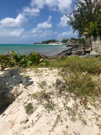 Idyllic scenic road Which beach in Oistins, Barbados (Caribbean island of the West Indies) with huge black stones, grass, sand and blue sky with white cloudsの写真素材