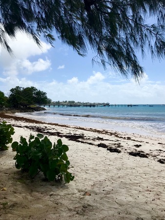 Idyllic beautiful beach in Oistins on the Caribbean island of Barbados with lush greenery, white sand, crystal clear water and a boatの写真素材