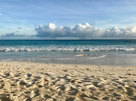 Beautiful panoramic view of an untouched sand beach at Barbados (Caribbean Island of the West Indies) with a blue sky on a sunny dayの写真素材