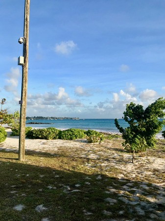 Small coastal street in Oistins, Barbados (Caribbean Island of the West Indies) with lush palm trees, a beautiful beach and the picturesque turquoise ocean in the backgroundの写真素材