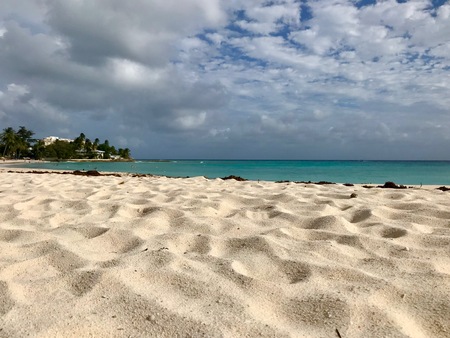 Beautiful panoramic view of an untouched sand beach at Barbados (Caribbean Island of the West Indies) with a blue sky on a sunny dayの写真素材