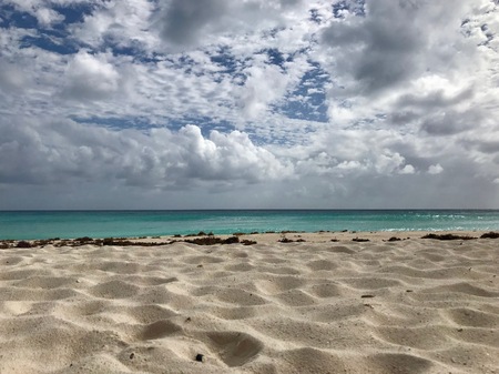 Beautiful panoramic view of an untouched sand beach at Barbados (Caribbean Island of the West Indies) with a blue sky on a sunny dayの写真素材