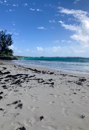 Beautiful panoramic view of an untouched sand beach at Barbados (Caribbean Island of the West Indies) with a blue sky on a sunny dayの写真素材