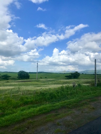 Beautiful, peaceful rural Cuban landscape scenery with green light and tropical vegetation on the green fields and plantations next to a mud road (Caribbean island)の写真素材