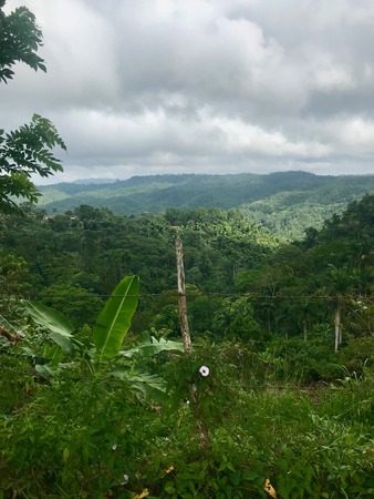 Leaping Caburni (Salto del Caburni) waterfall through beautiful and untouched lush vegetation near Trinidad (Sancti Spiritus) on the green Caribbean island of Cubaの写真素材