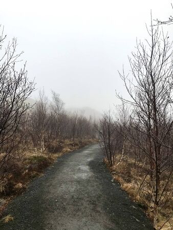 Colorful outdoor autumn scenery in the Geothermal area of Geyser on the cloudy afternoon in the mountains of Bl?sk?gabygg? on the Golden Circle (Reyjkavik)の写真素材