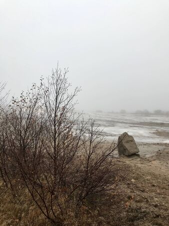 Scenic autumn / winter landscape with mud, bushes, fog, boiling water and ice around geothermal area of The Great Geysir in Iceland: natural landmark of the Golden Circleの写真素材