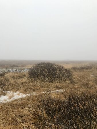 Adventure hike to the scenic landmark of the Gullfoss Waterfall on the Golden Circle Route in Iceland: beautiful nordic autumn / winter landscape with snow covered rocks, bushes and a foggy skyの写真素材