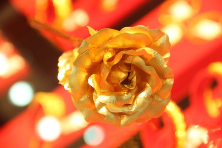 Golden Flowerの写真素材