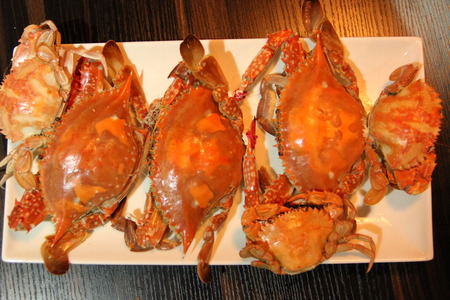 Crabの写真素材